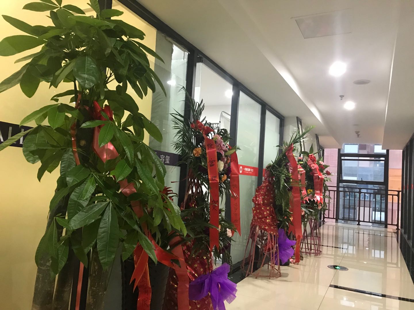 公司环境