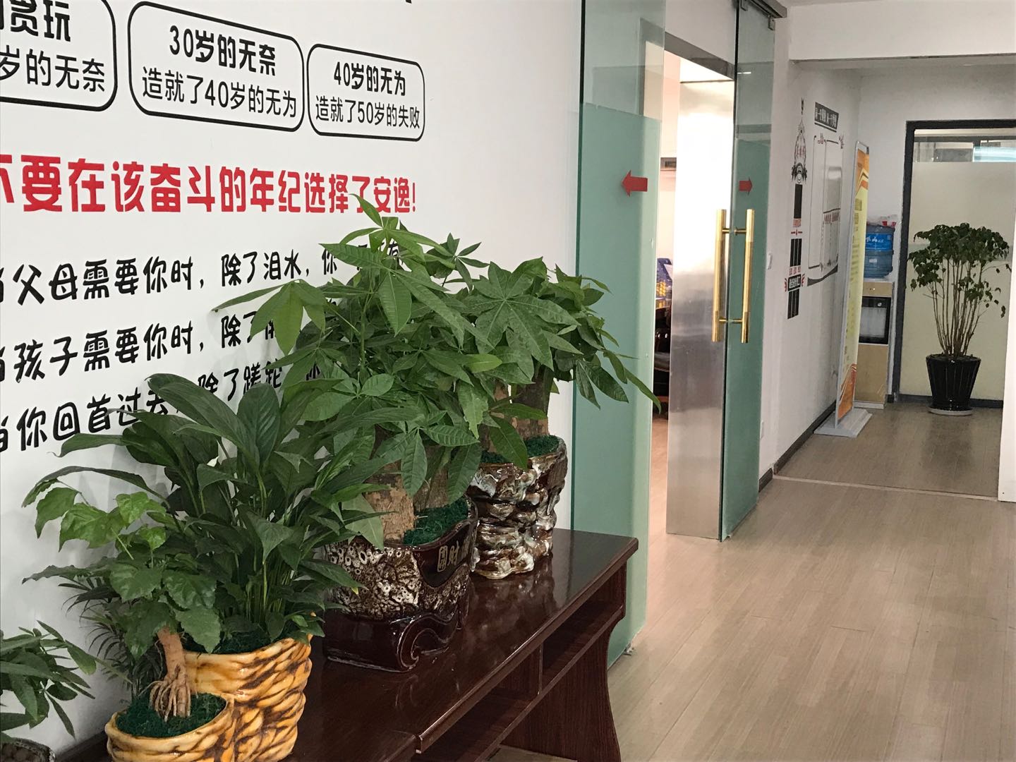 公司环境